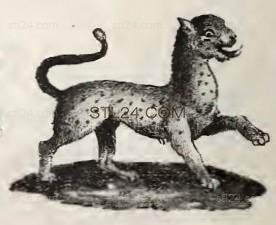 ANIMAL_0168